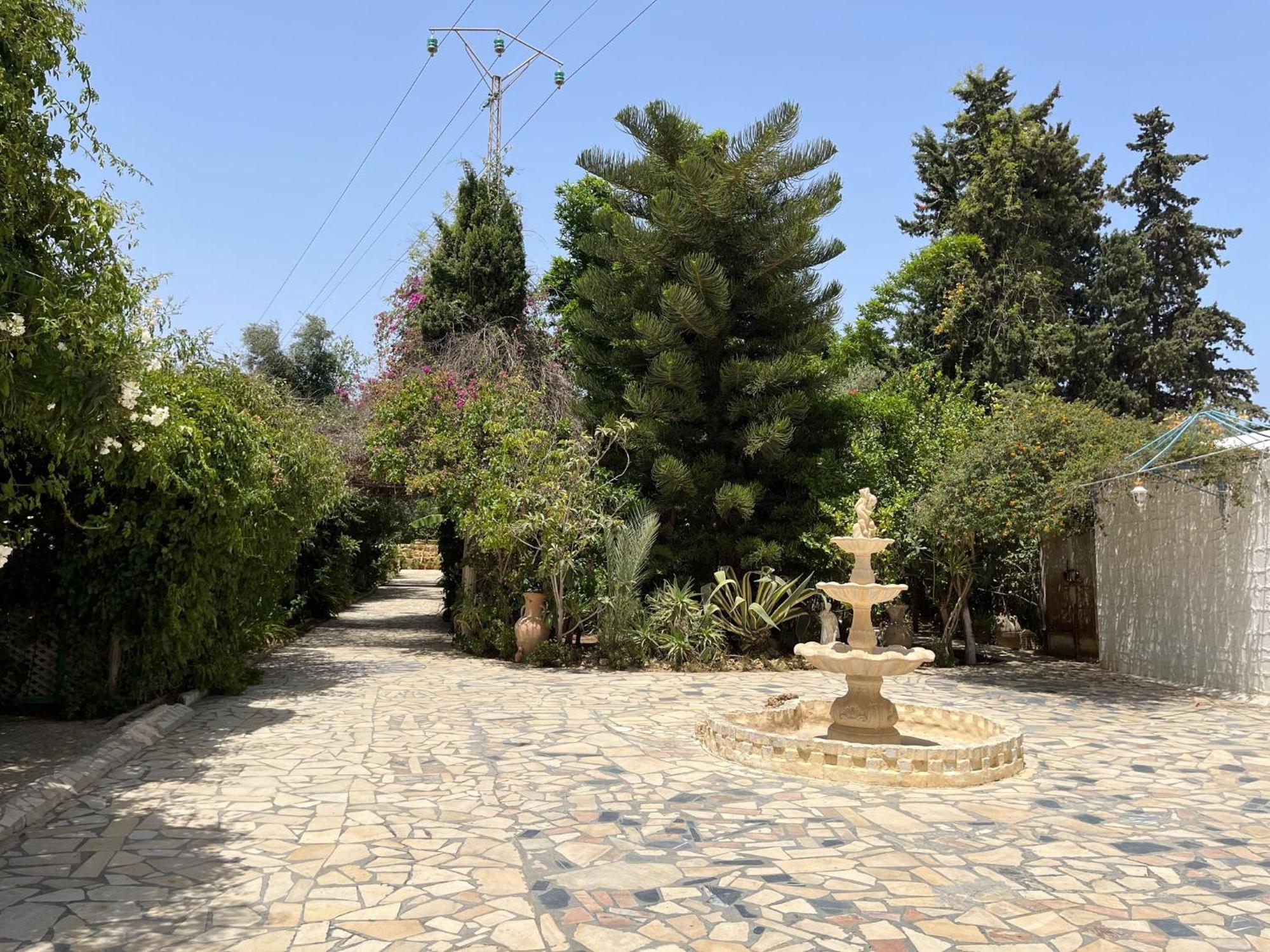 Dar Beldi Otel Hammamet Dış mekan fotoğraf